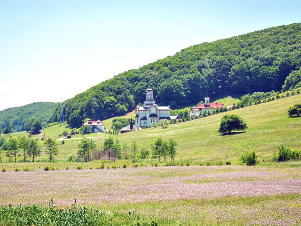 Maison d'hôtes Casa Bradet à Întorsura Buzăului Extérieur photo